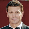 David-boreanaz